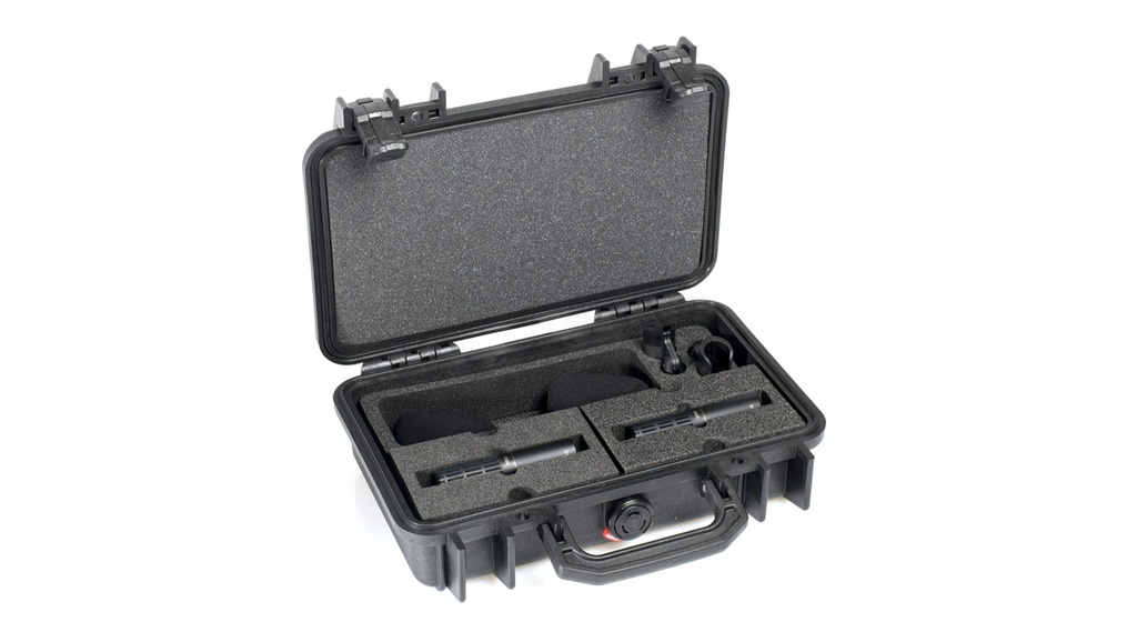 DPA 2011A Stereo Pair with Clips and Windscreens in Peli Case