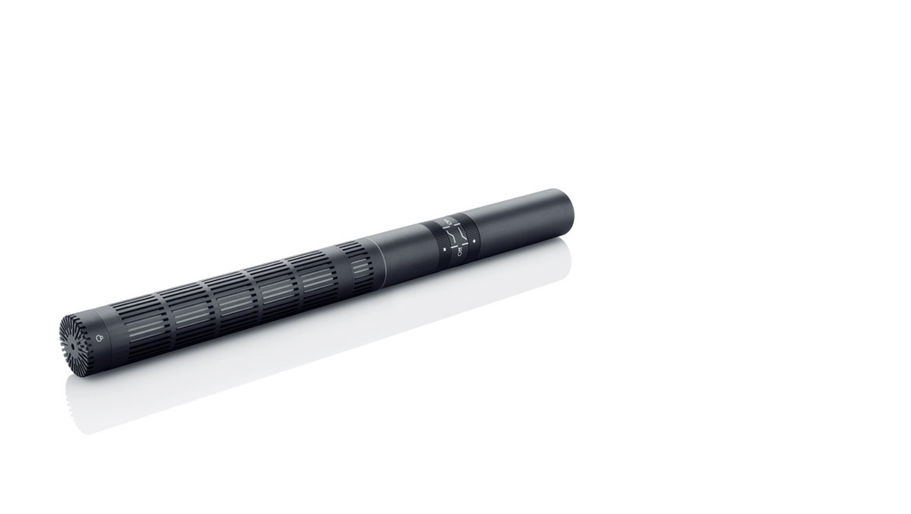 DPA 4017B Shotgun Mic